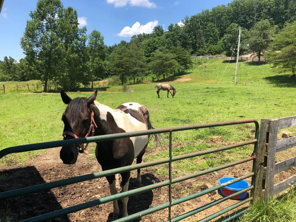 422 Kirk Lane Tollesboro KY 41189