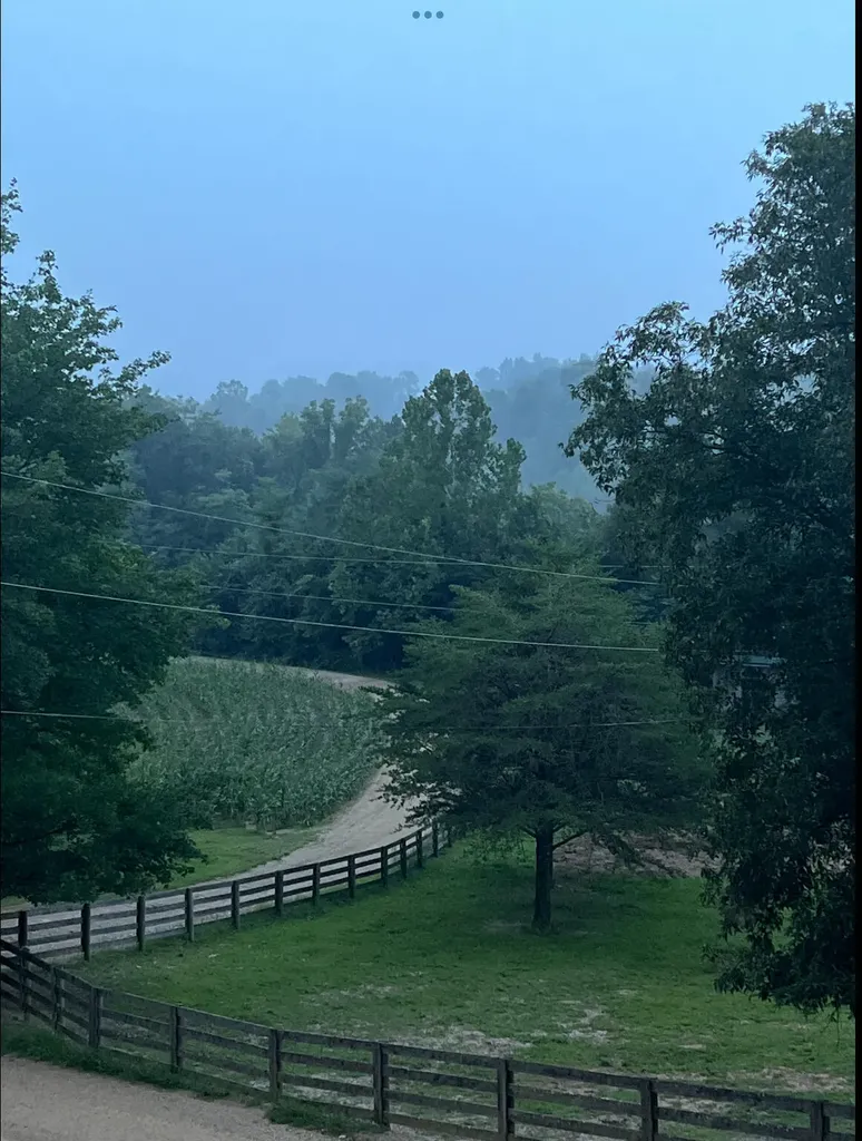 422 Kirk Lane Tollesboro KY 41189
