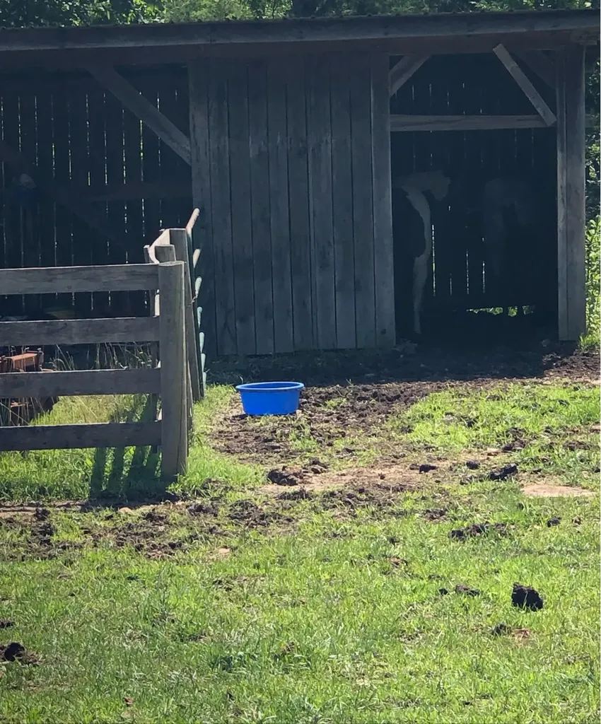 422 Kirk Lane Tollesboro KY 41189