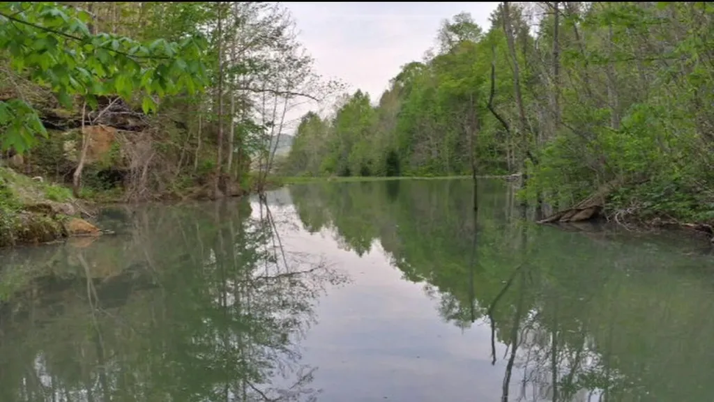 422 Kirk Lane Tollesboro KY 41189
