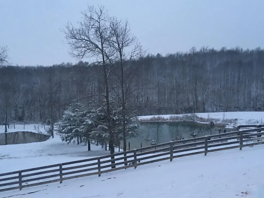 422 Kirk Lane Tollesboro KY 41189