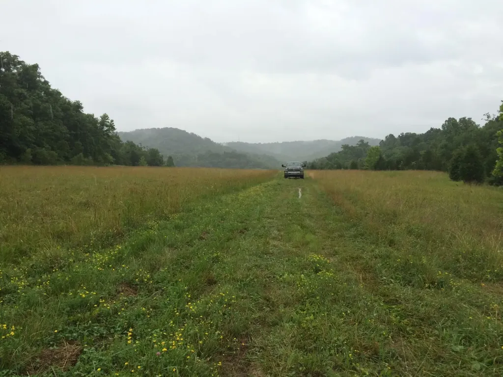 422 Kirk Lane Tollesboro KY 41189