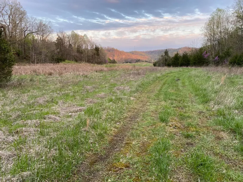 422 Kirk Lane Tollesboro KY 41189
