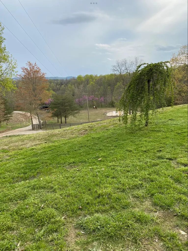 422 Kirk Lane Tollesboro KY 41189