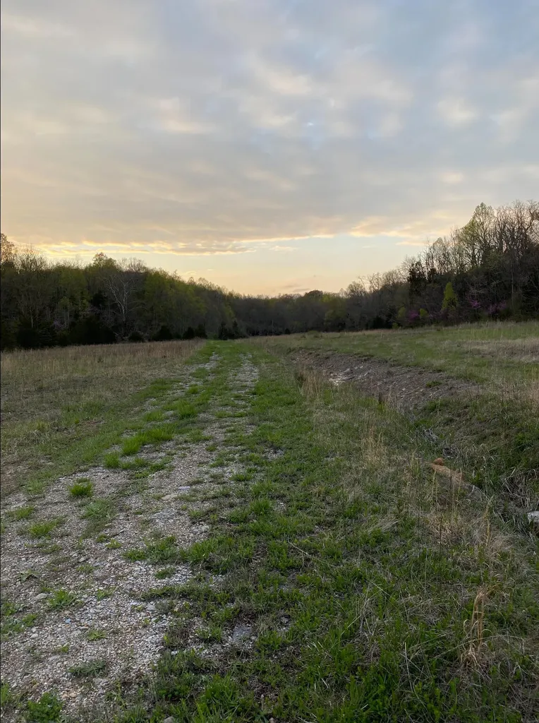 422 Kirk Lane Tollesboro KY 41189