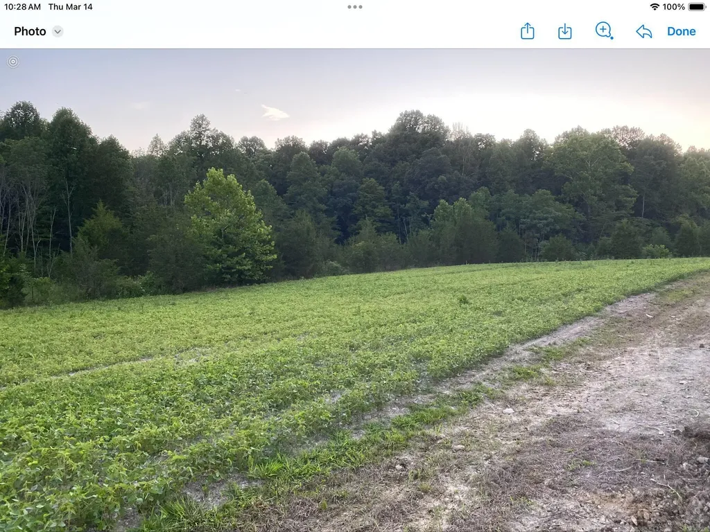 422 Kirk Lane Tollesboro KY 41189