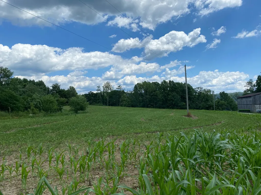 422 Kirk Lane Tollesboro KY 41189