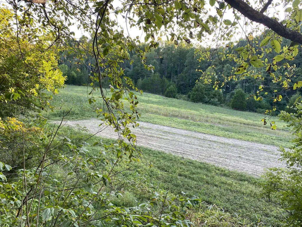 422 Kirk Lane Tollesboro KY 41189