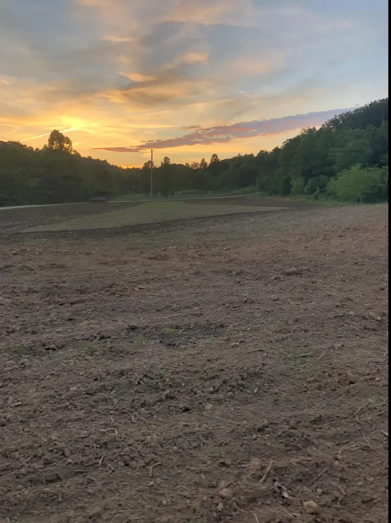 422 Kirk Lane Tollesboro KY 41189