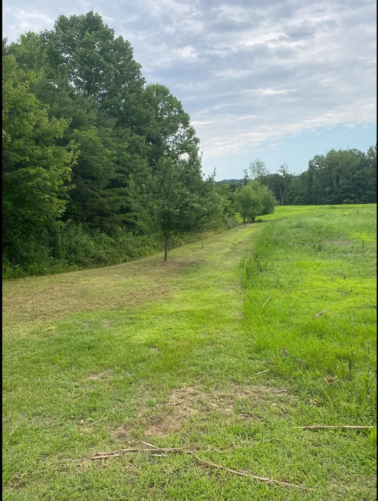 422 Kirk Lane Tollesboro KY 41189