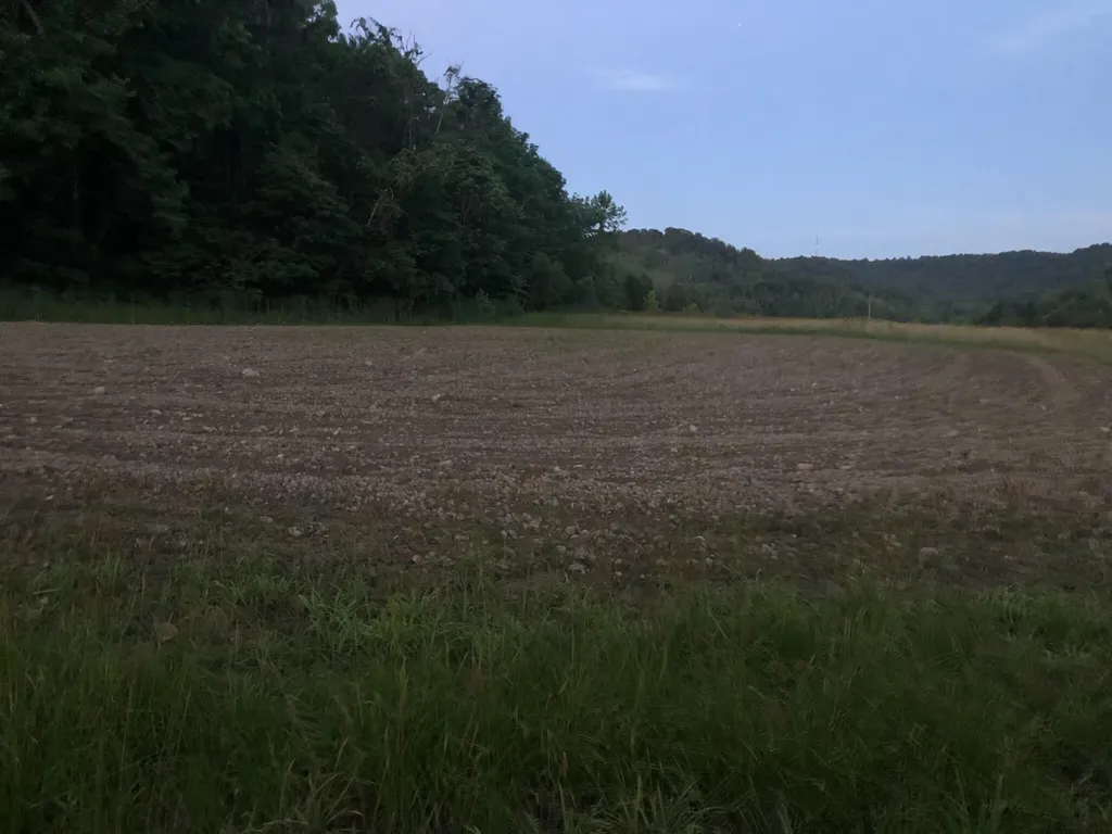 422 Kirk Lane Tollesboro KY 41189
