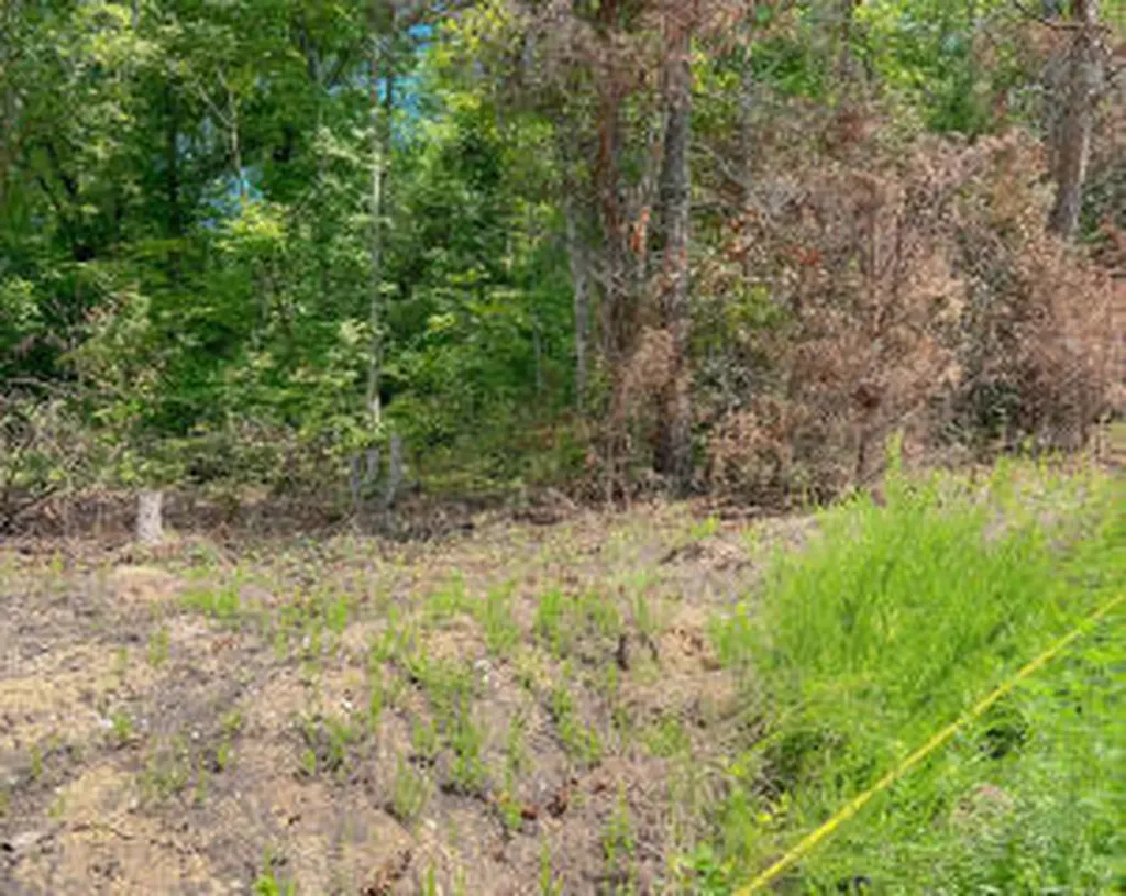 Lot 6 Block E Unit 3 Parrott Drive Somerset KY 42501