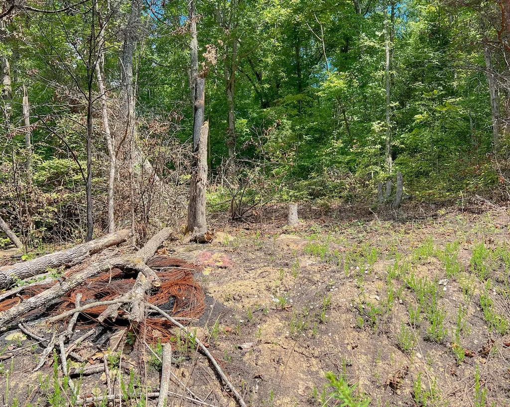 Lot 6 Block E Unit 3 Parrott Drive Somerset KY 42501