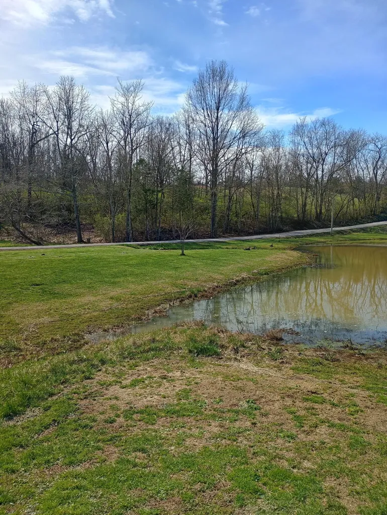 355 Mudlick Road Cynthiana KY 41031