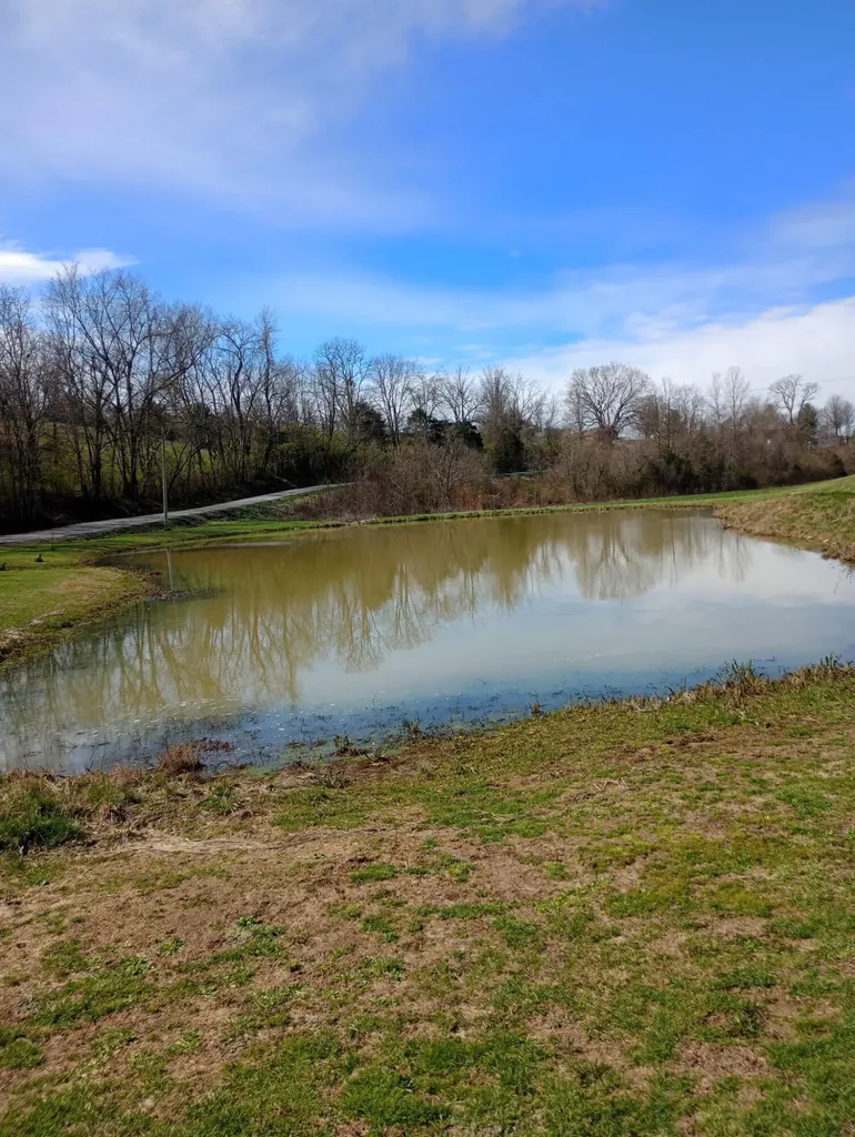 355 Mudlick Road Cynthiana KY 41031