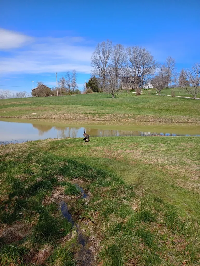 355 Mudlick Road Cynthiana KY 41031