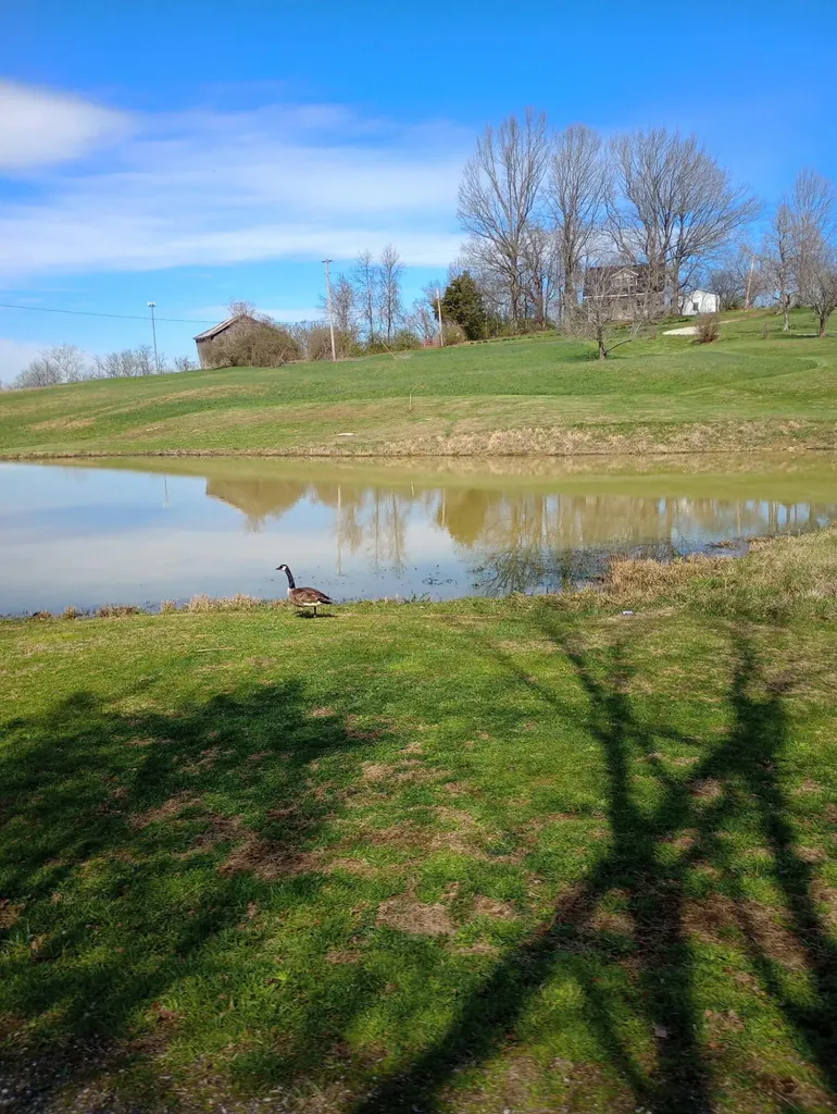 355 Mudlick Road Cynthiana KY 41031