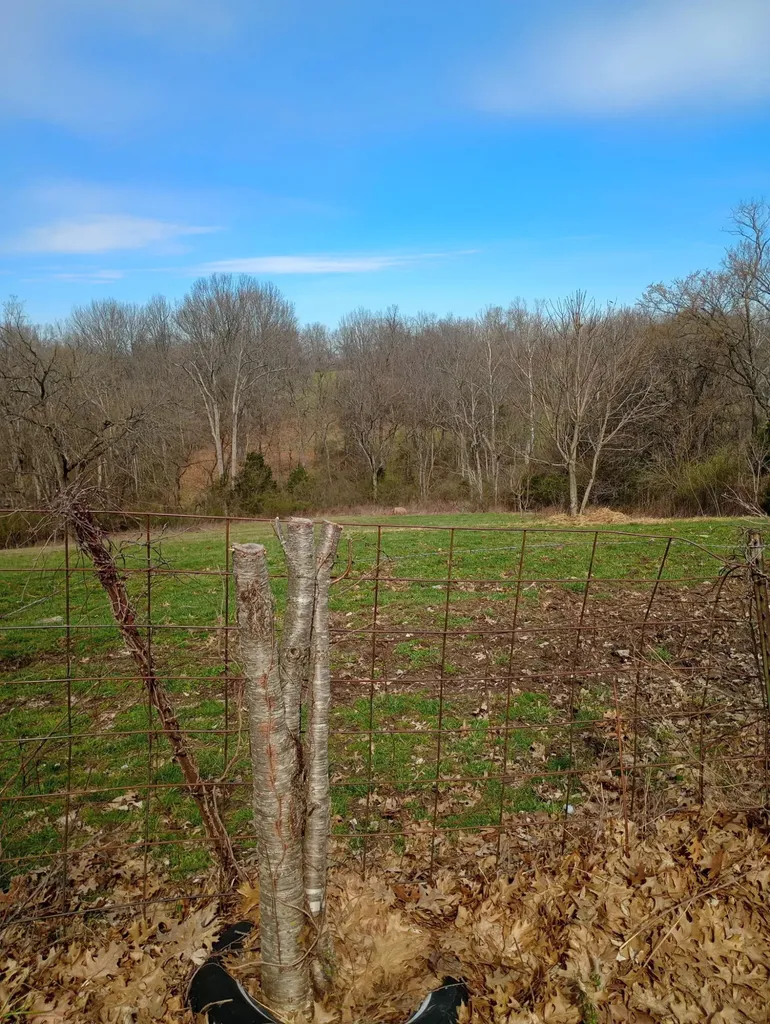355 Mudlick Road Cynthiana KY 41031