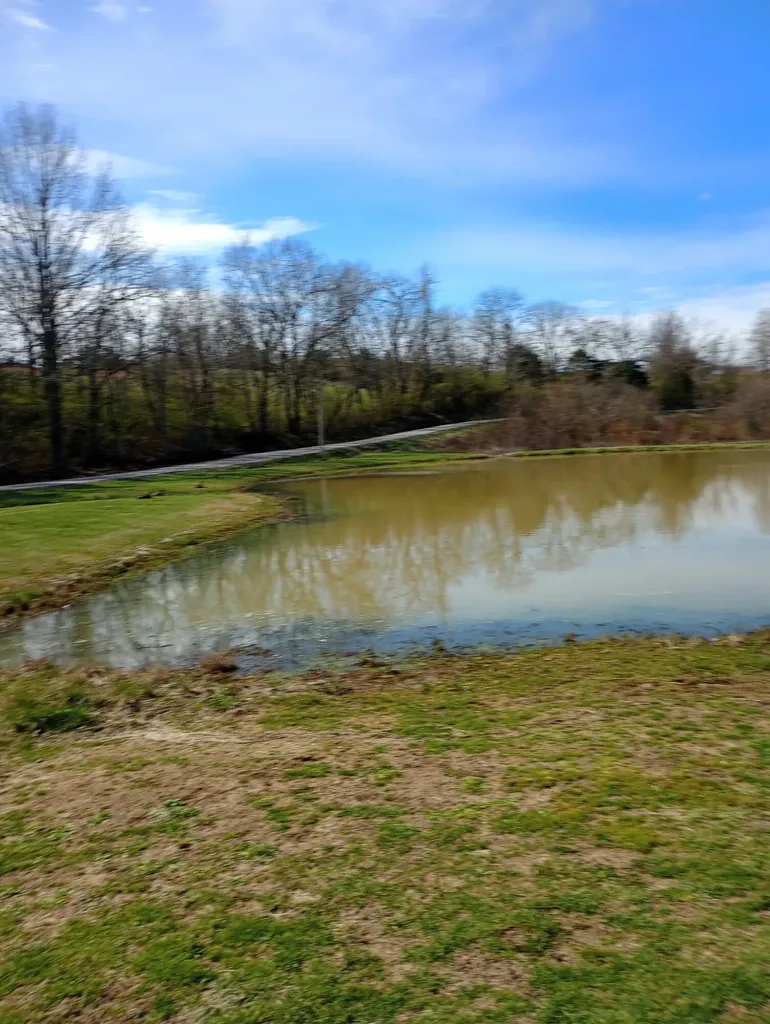 355 Mudlick Road Cynthiana KY 41031