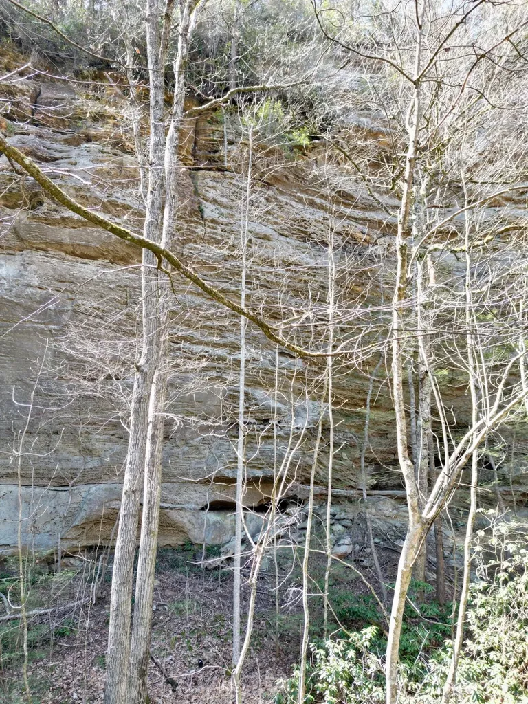 00 Highway 52 W Beattyville KY 41311
