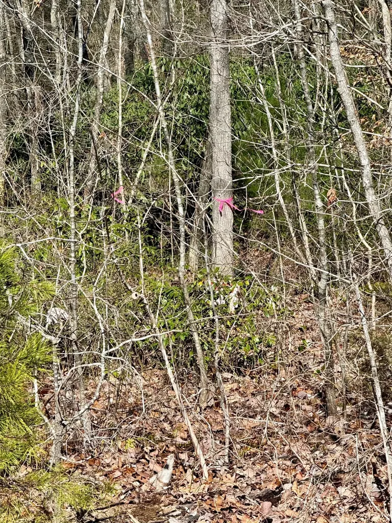 00 Highway 52 W Beattyville KY 41311