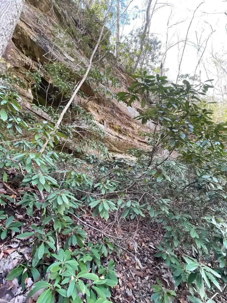 00 Highway 52 W Beattyville KY 41311