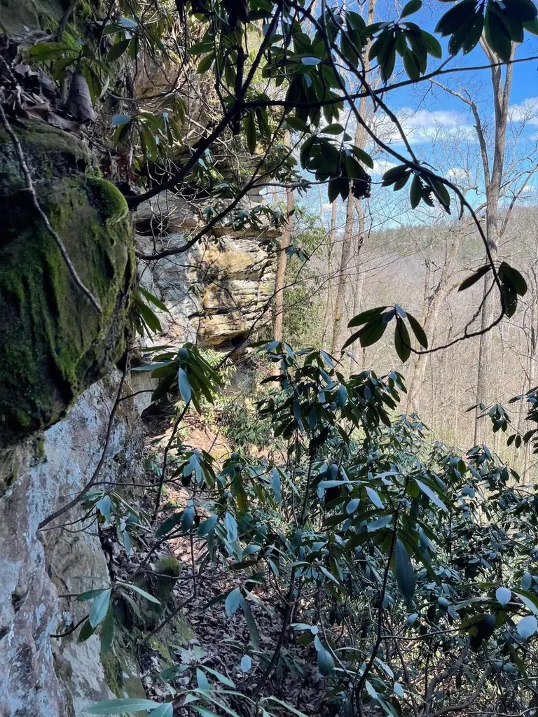 00 Highway 52 W Beattyville KY 41311