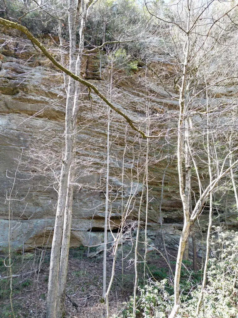 00 Highway 52 W Beattyville KY 41311