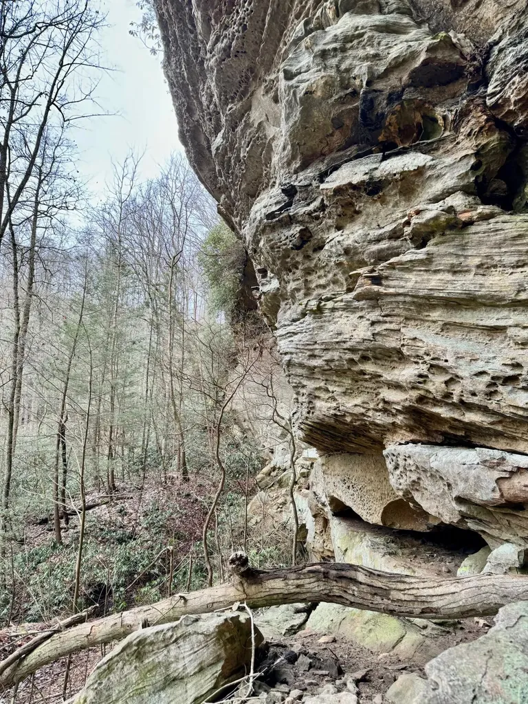 00 Highway 52 W Beattyville KY 41311