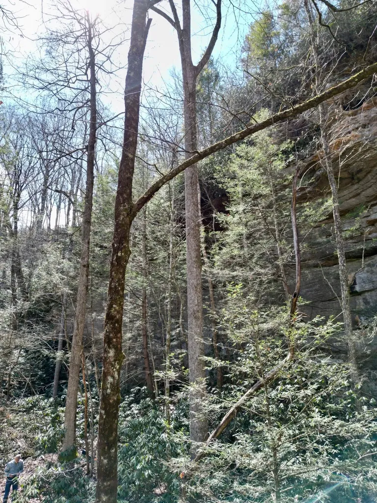 00 Highway 52 W Beattyville KY 41311