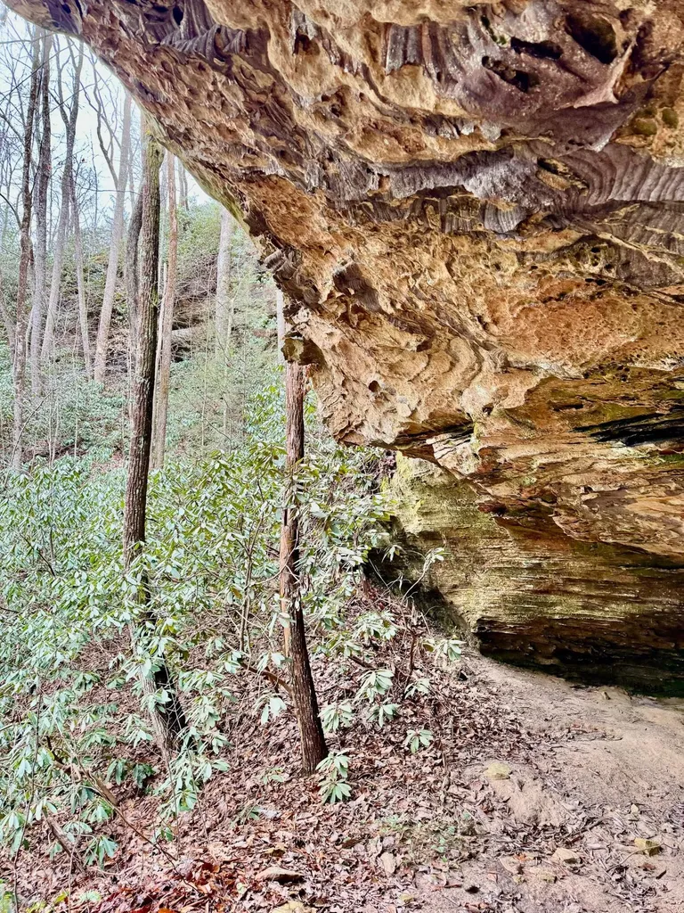 00 Highway 52 W Beattyville KY 41311