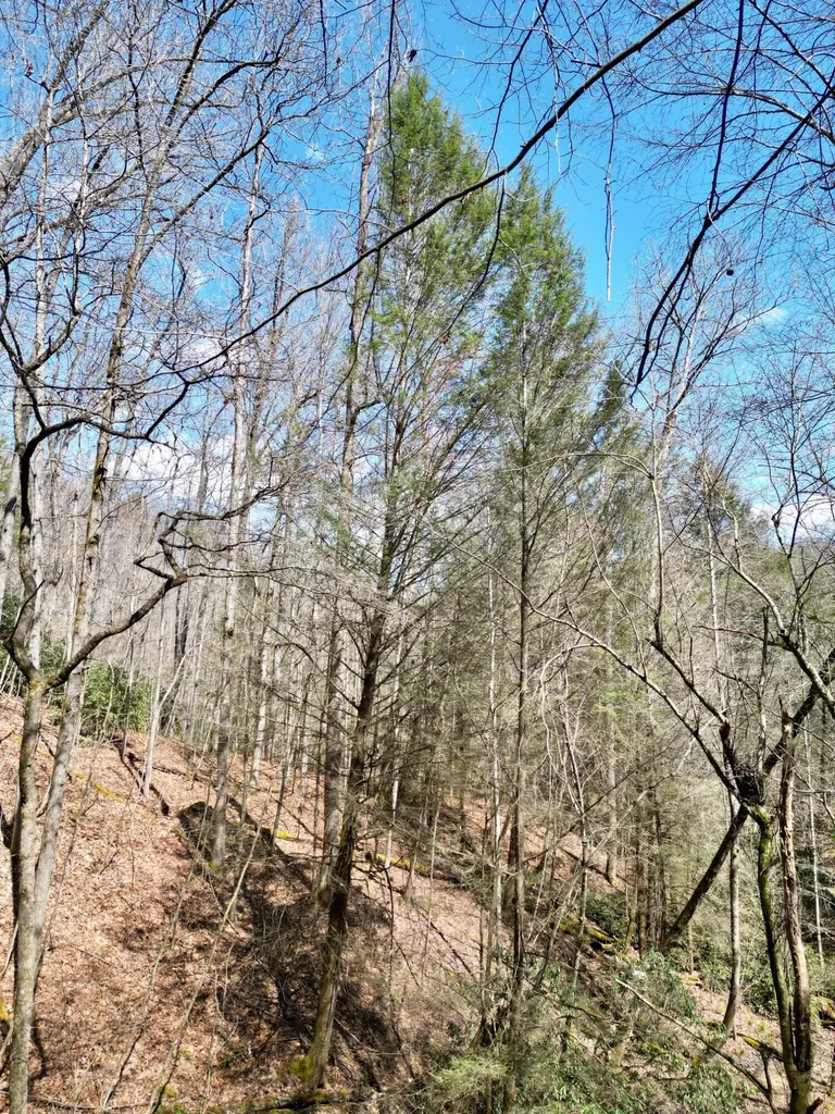 00 Highway 52 W Beattyville KY 41311