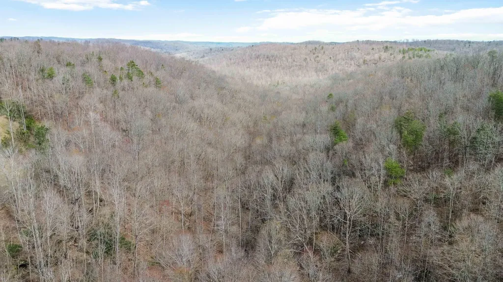 11 Acres Jeru Knob Road Burnside KY 42519