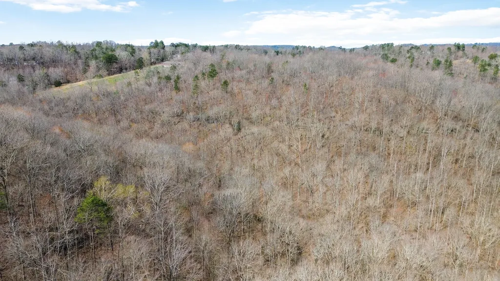 11 Acres Jeru Knob Road Burnside KY 42519
