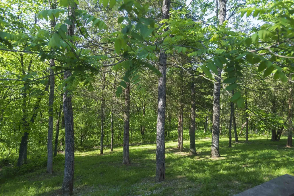 115 Winding View Trail Georgetown KY 40324