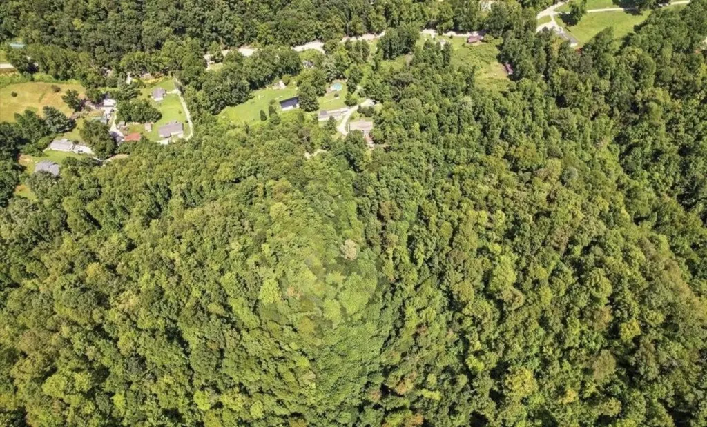 20 Tan Trough Hollow Road Evarts KY 40828