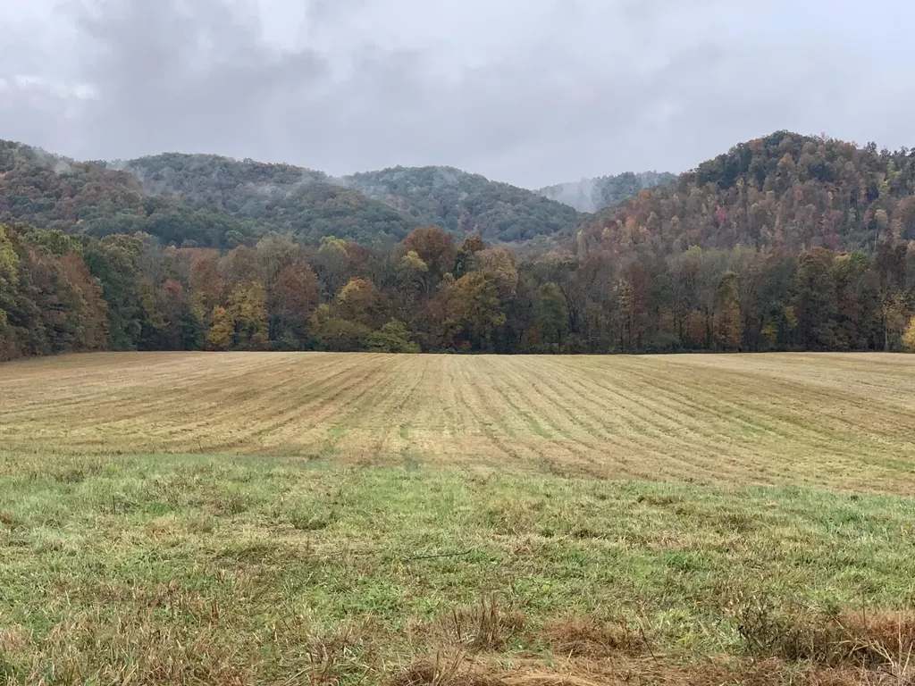 1150 Cranston Road Morehead KY 40351