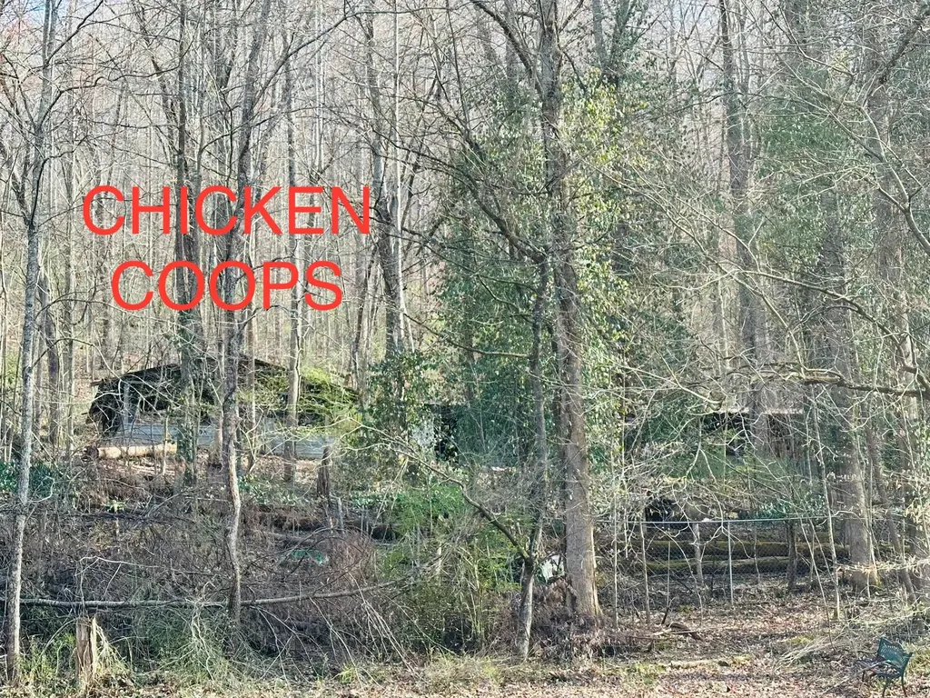 212 Town Branch Road Manchester KY 40962