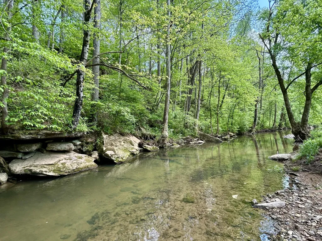 1571 Kit Cowan Road Somerset KY 42501