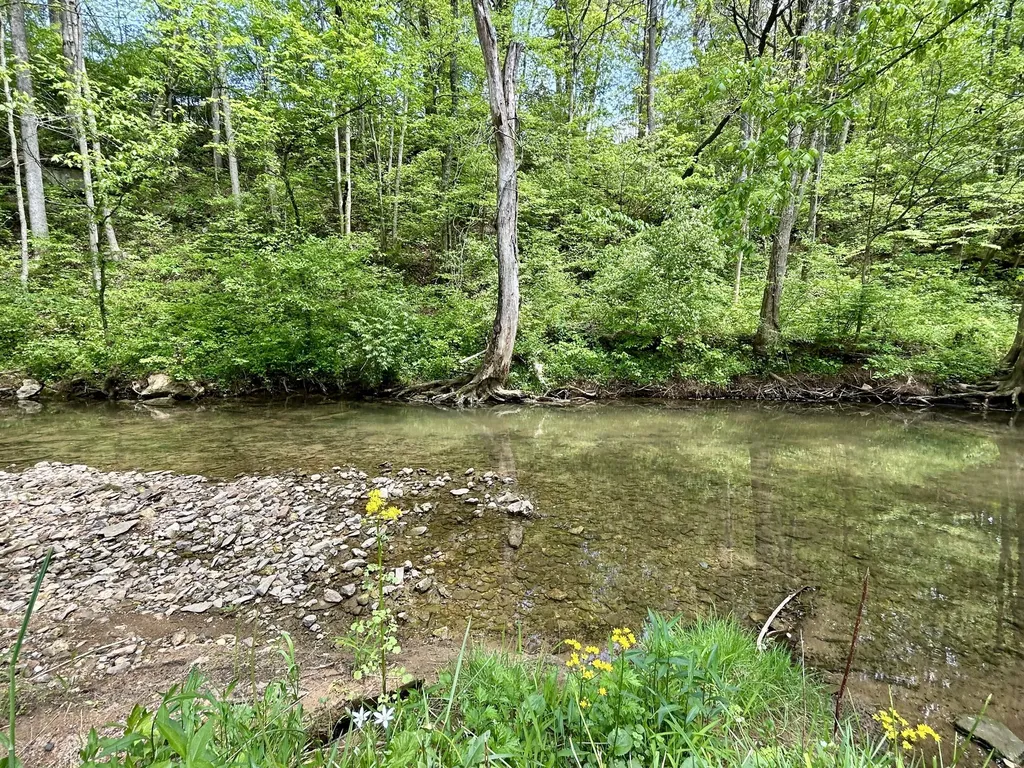 1571 Kit Cowan Road Somerset KY 42501