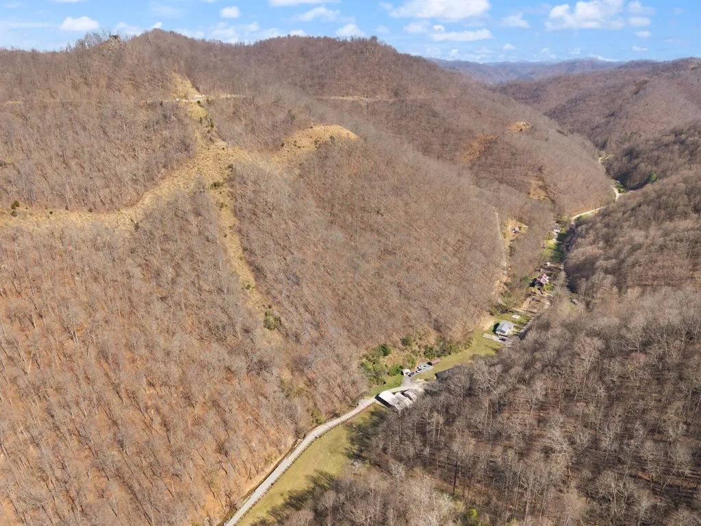 544 Salisbury Branch Road Dema KY 41859