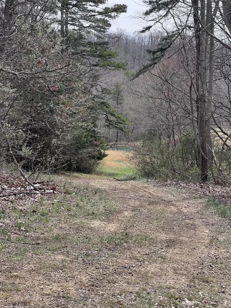 12195 Highway 587 Beattyville KY 41311