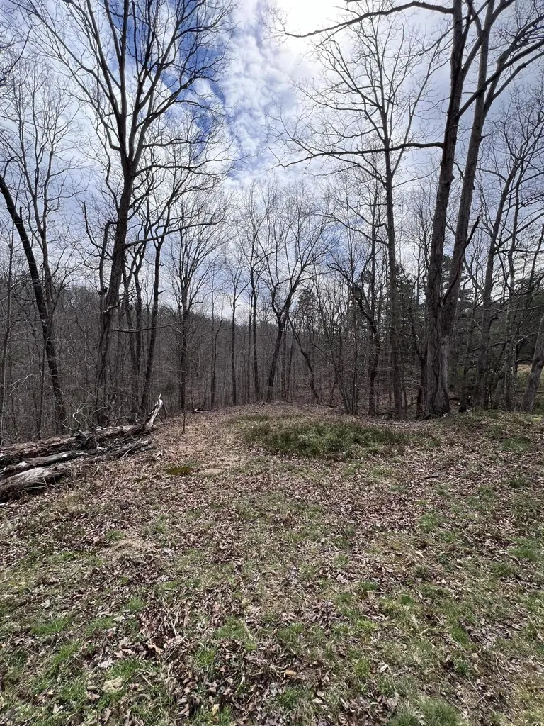12195 Highway 587 Beattyville KY 41311