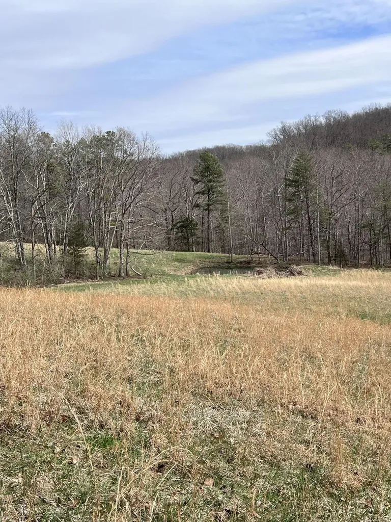 12195 Highway 587 Beattyville KY 41311