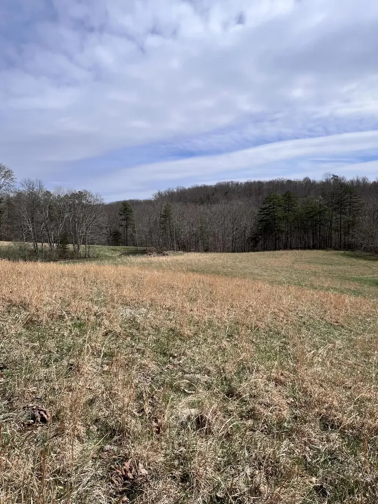 12195 Highway 587 Beattyville KY 41311