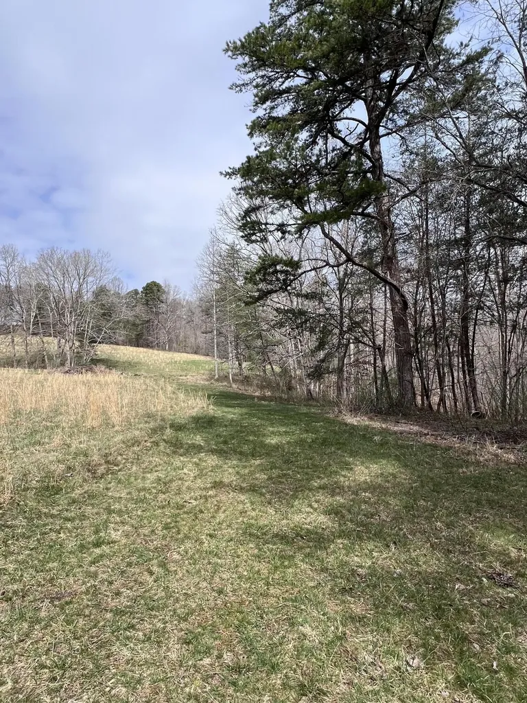 12195 Highway 587 Beattyville KY 41311