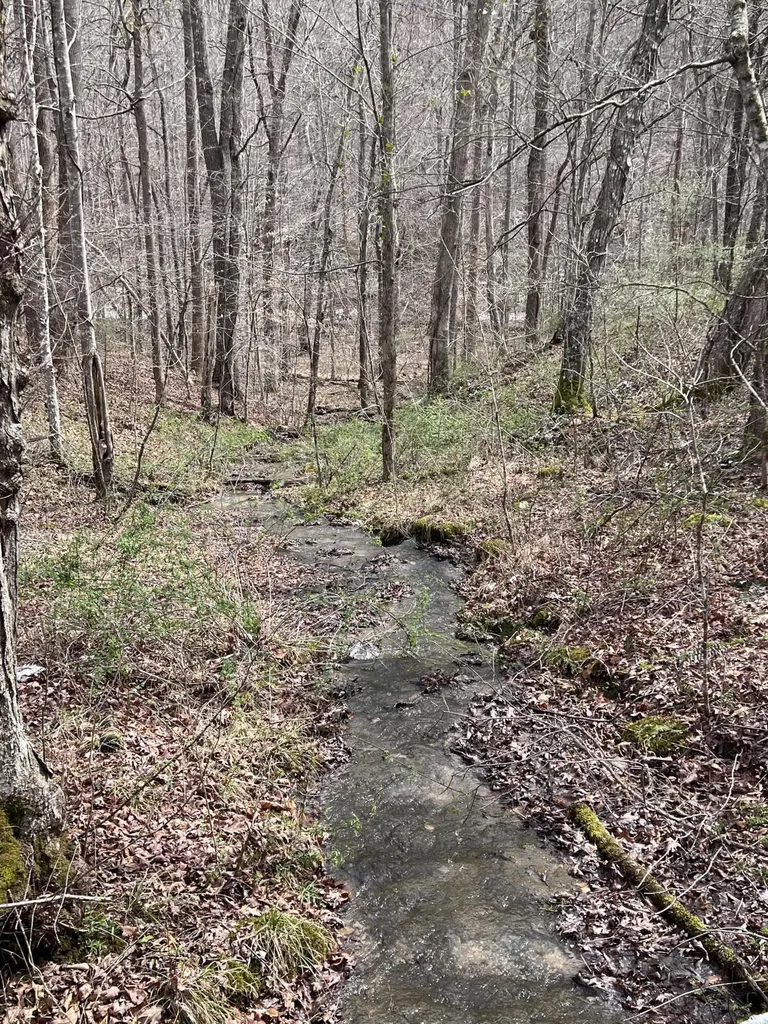 12195 Highway 587 Beattyville KY 41311