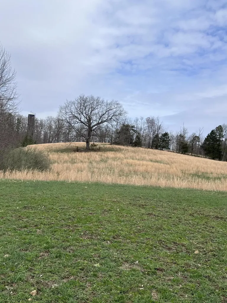 12195 Highway 587 Beattyville KY 41311