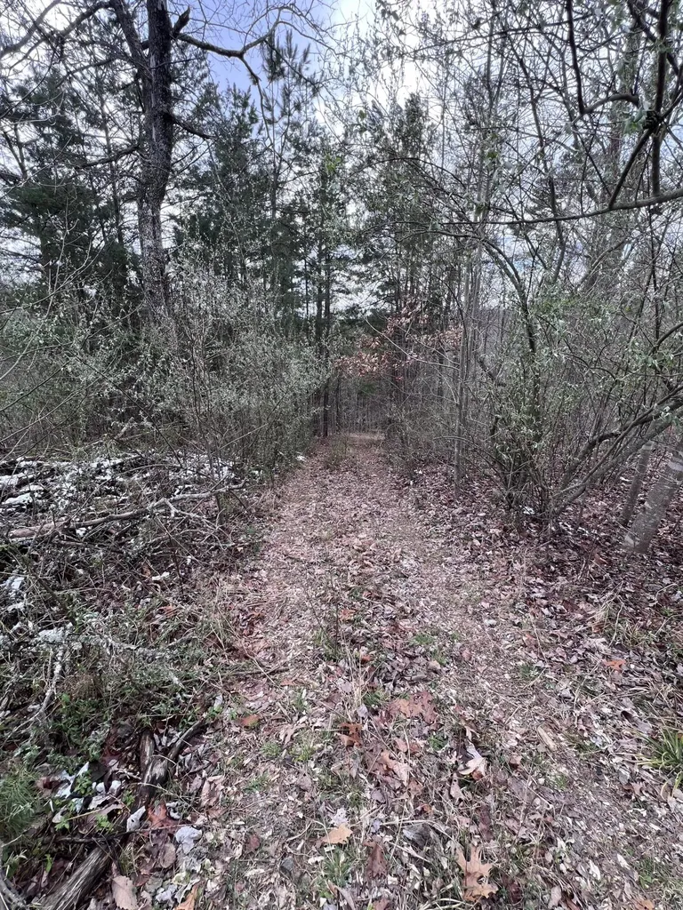 12195 Highway 587 Beattyville KY 41311
