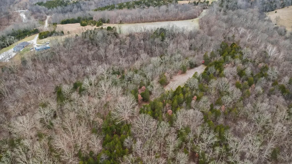 000 Hogg Ridge Road Williamstown KY 41097